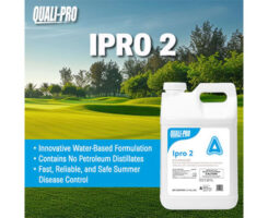 Photo: Quali-Pro