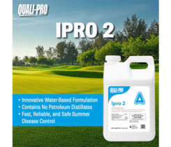 Photo: Quali-Pro