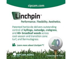 Photo: Sipcam Agro USA