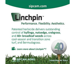 Photo: Sipcam Agro USA