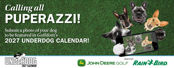 Underdog Calendar 2027