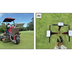 (Photo: Sapkota et al. via International Turfgrass Society Research Journal)