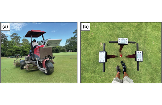 (Photo: Sapkota et al. via International Turfgrass Society Research Journal)