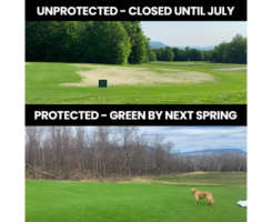 Photo: GreenJacket