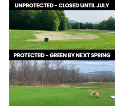 Photo: GreenJacket