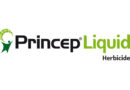Logo: Syngenta