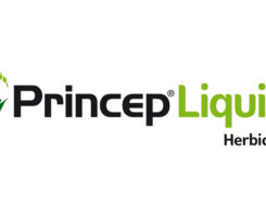 Logo: Syngenta