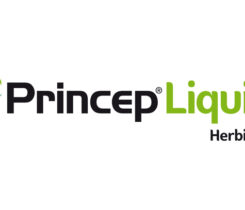 Logo: Syngenta