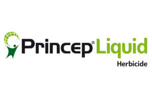 Logo: Syngenta