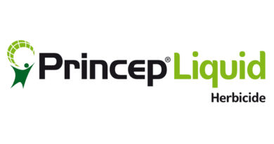 Logo: Syngenta