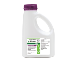 Photo: Syngenta