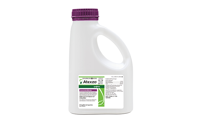 Photo: Syngenta