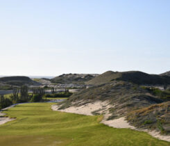 Photo: Oleada Los Cabos