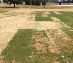 Winters in Michigan’s Upper Peninsula have plenty of snow mold, no matter the ocean temperatures in the Pacific.(Photo: Courtesy of Paul Koch and Kurt Hockemeyer)