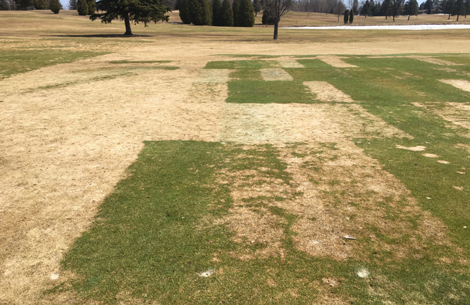 Winters in Michigan’s Upper Peninsula have plenty of snow mold, no matter the ocean temperatures in the Pacific.(Photo: Courtesy of Paul Koch and Kurt Hockemeyer)