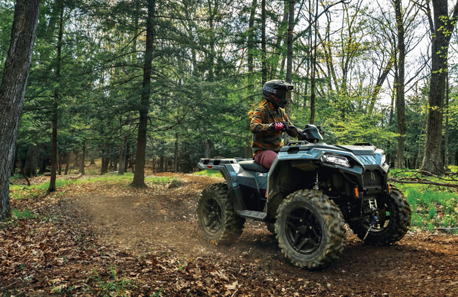 Photo: Polaris
