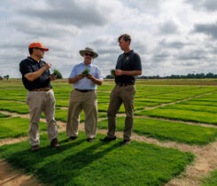 The World Cup final was played on Tahoma 31, a warm-season bermudagrass developed by OSU Agriculture Ph.D. researchers, Yanqi Wu, Dennis Martin and Charles Fontanier. (Photo: Mitchell Alcala, OSU Agriculture)