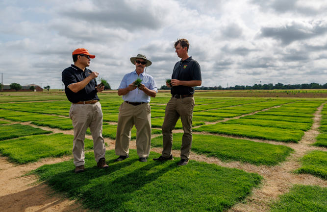 The World Cup final was played on Tahoma 31, a warm-season bermudagrass developed by OSU Agriculture Ph.D. researchers, Yanqi Wu, Dennis Martin and Charles Fontanier. (Photo: Mitchell Alcala, OSU Agriculture)
