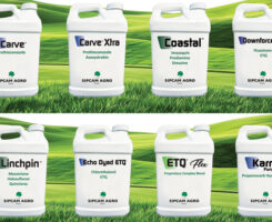 Image: Sipcam Agro