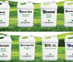 Image: Sipcam Agro