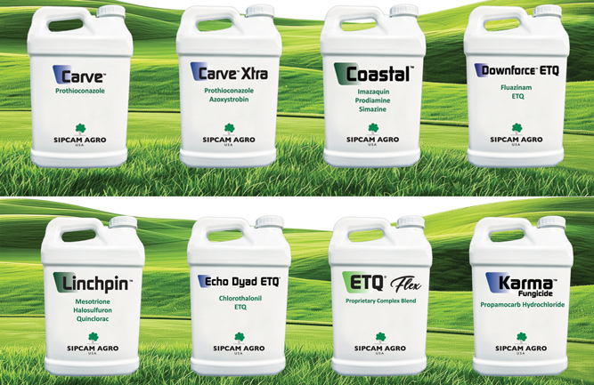 Image: Sipcam Agro
