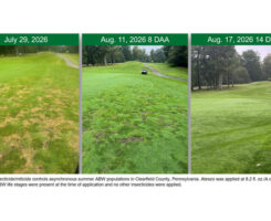 Photo: Syngenta