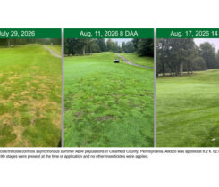 Photo: Syngenta