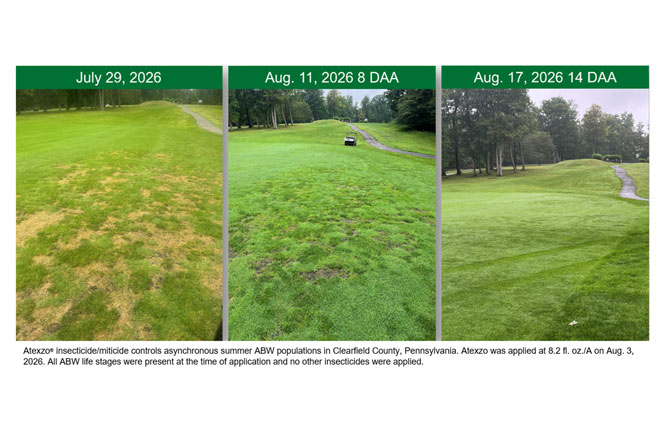 Photo: Syngenta